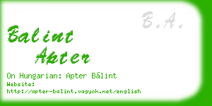 balint apter business card